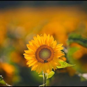 Meet your Posher, Tabatha